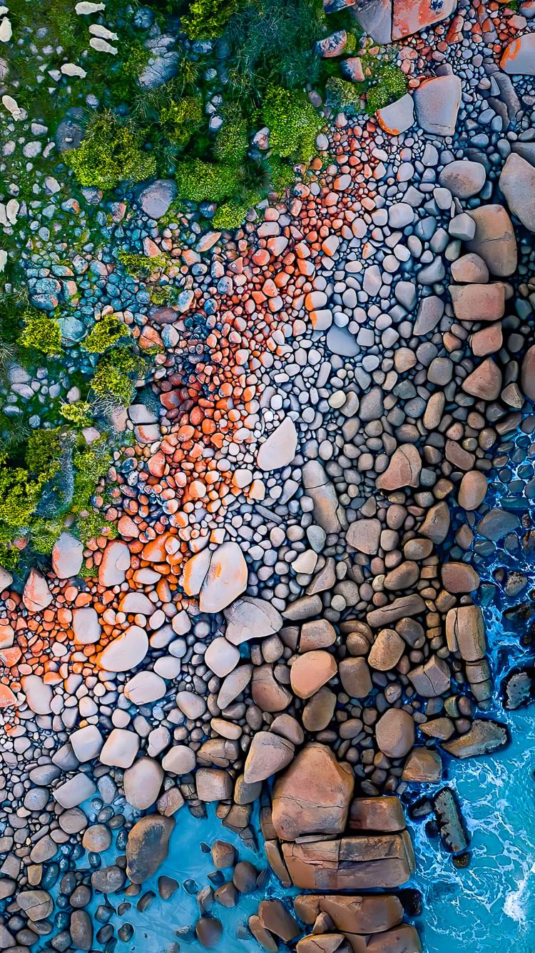 Обои отражение, лист, окружающая среда, ботаники, природный ландшафт в разрешении 750x1334