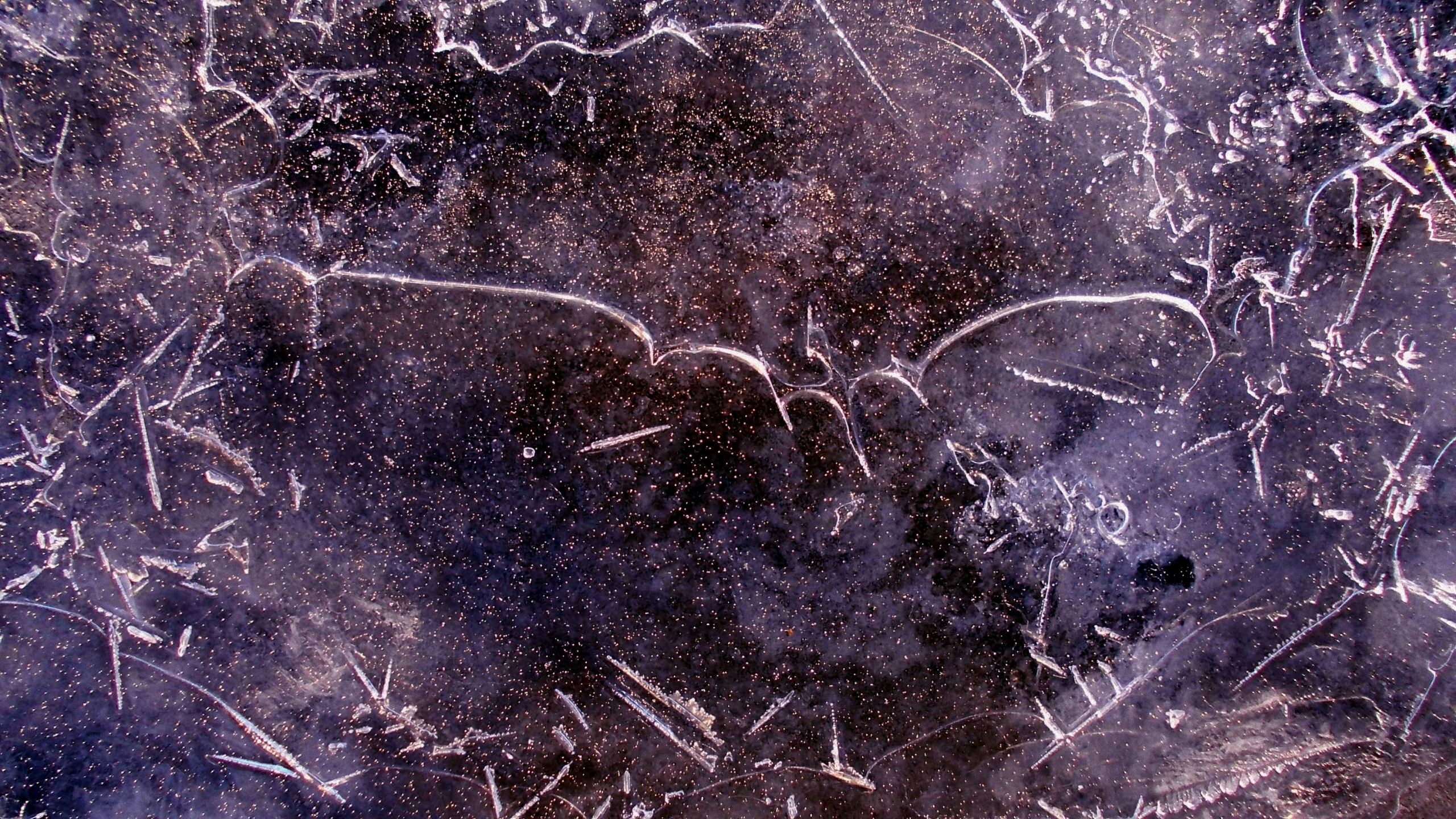 Обои текстура, узор, зима, трава, замораживание в разрешении 2560x1440