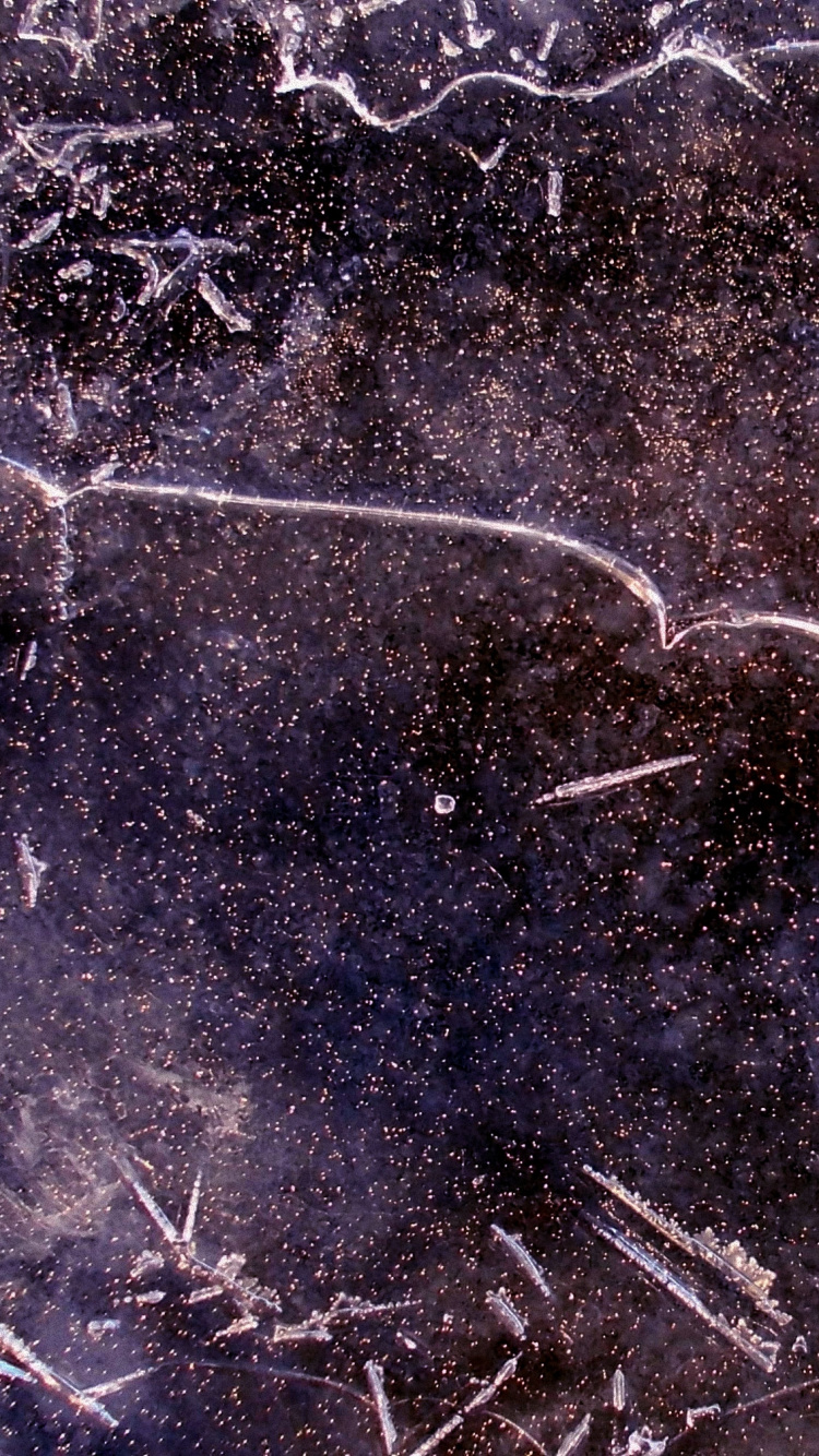 Обои текстура, узор, зима, трава, замораживание в разрешении 750x1334