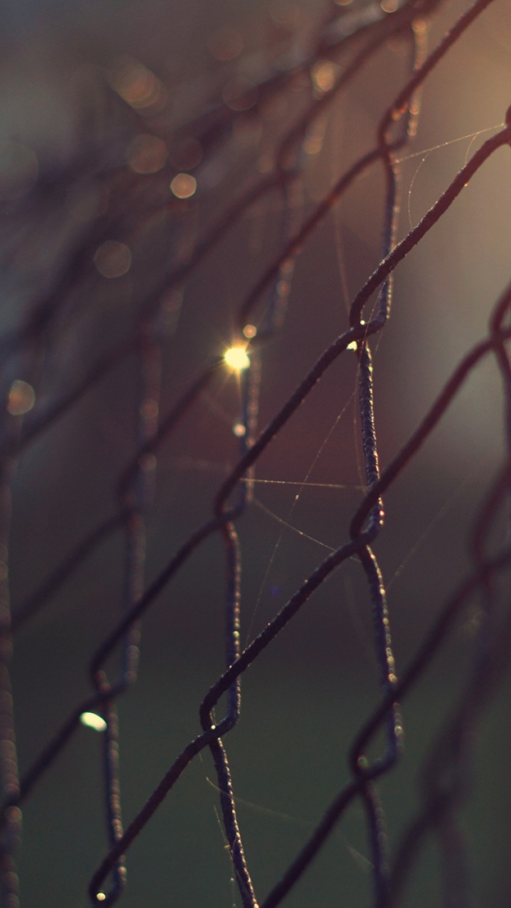 Обои глубина резкости, боке, вода, ветвь, свет в разрешении 720x1280