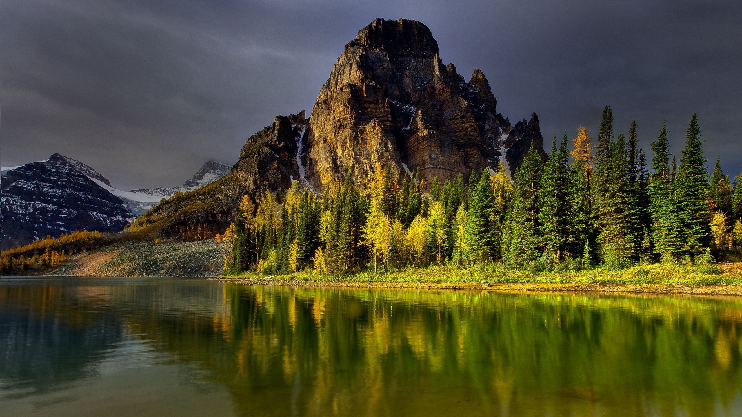 Обои природа, отражение, дикая местность, гора, дерево в разрешении 2560x1440