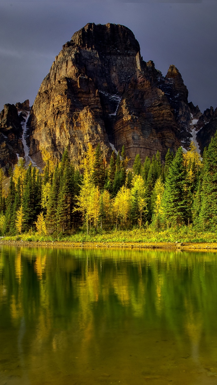 Обои природа, отражение, дикая местность, гора, дерево в разрешении 720x1280