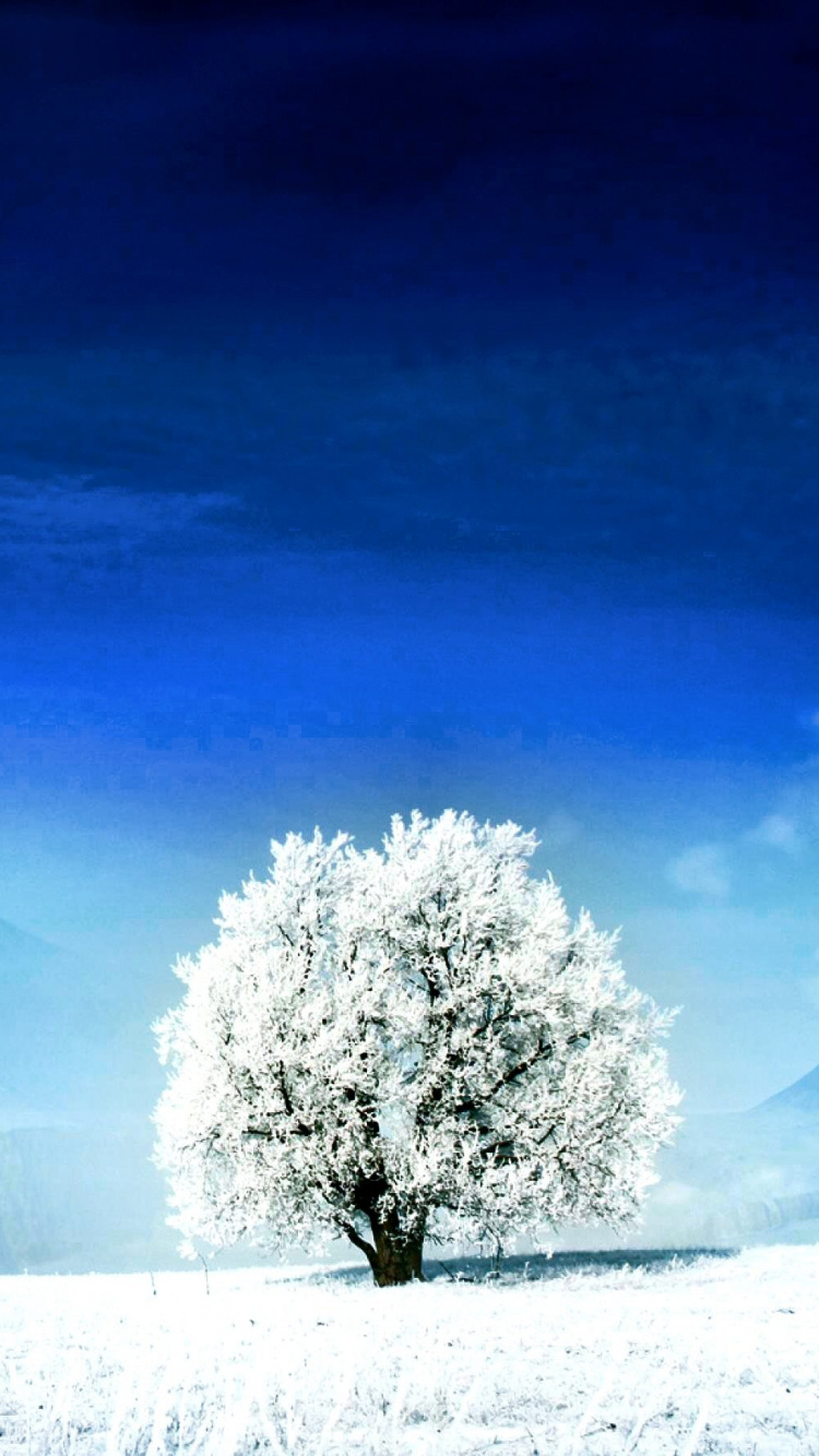 Обои дерево, снег, природа, зима, замораживание в разрешении 750x1334