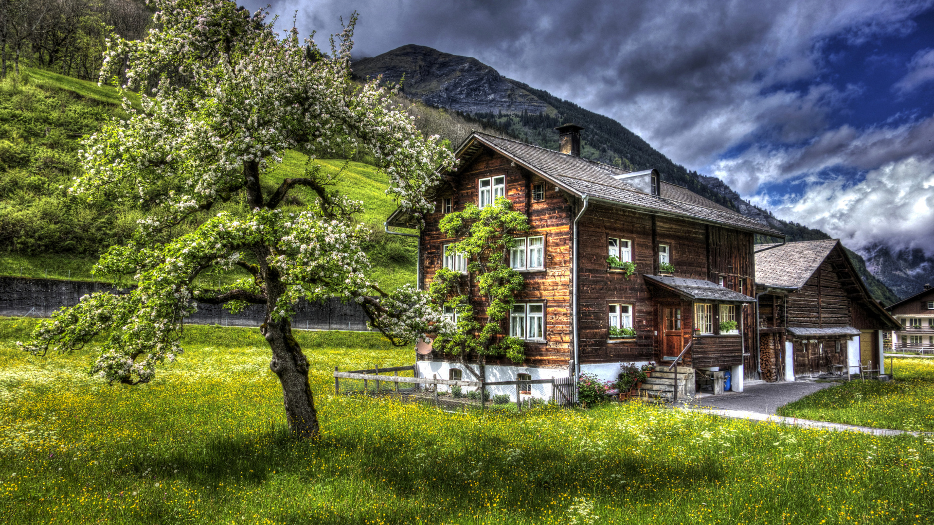 Обои природа, Хаус, свойство, родина, дерево в разрешении 1920x1080