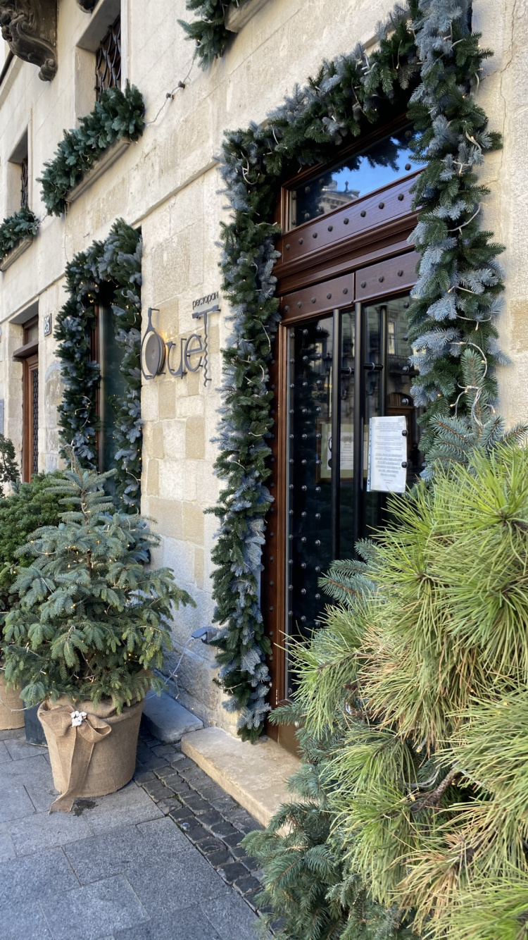 Обои дерево, Рождественские украшения, недвижимость, цветочный горшок, соседство в разрешении 750x1334