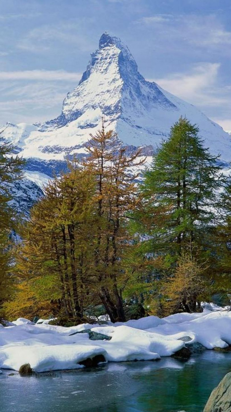 Обои дерево, природа, гора, дикая местность, горный рельеф в разрешении 750x1334