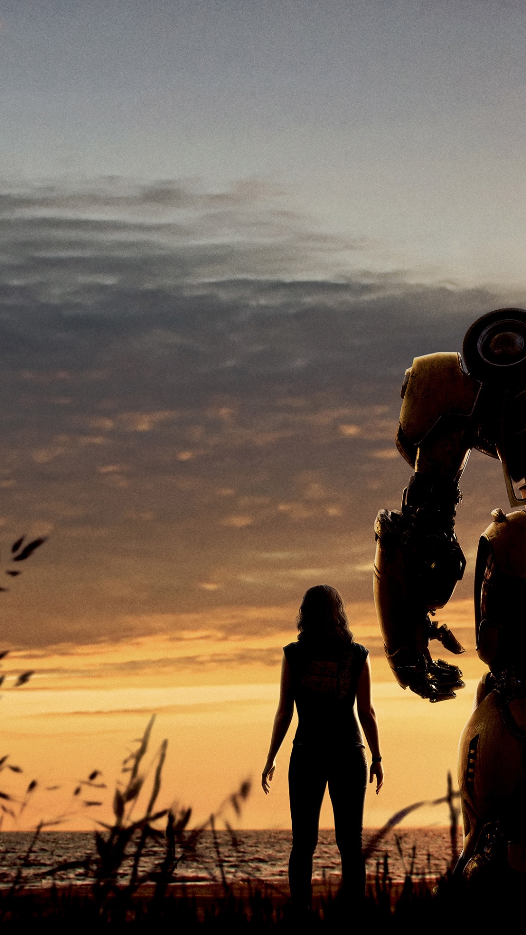 Обои робот, Бамблби, трансформеры, Чарли Ватсон, парамаунт пикчерз в разрешении 1080x1920