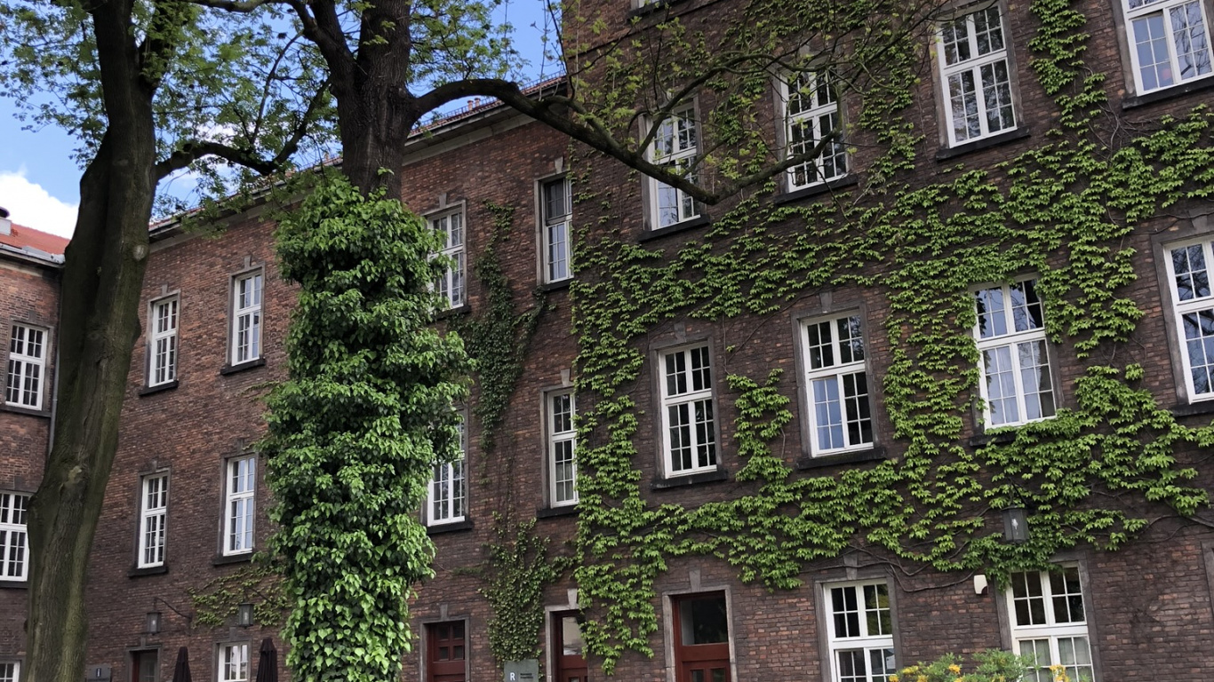 Обои Хаус, окно, свойство, здание, жилой район в разрешении 1366x768