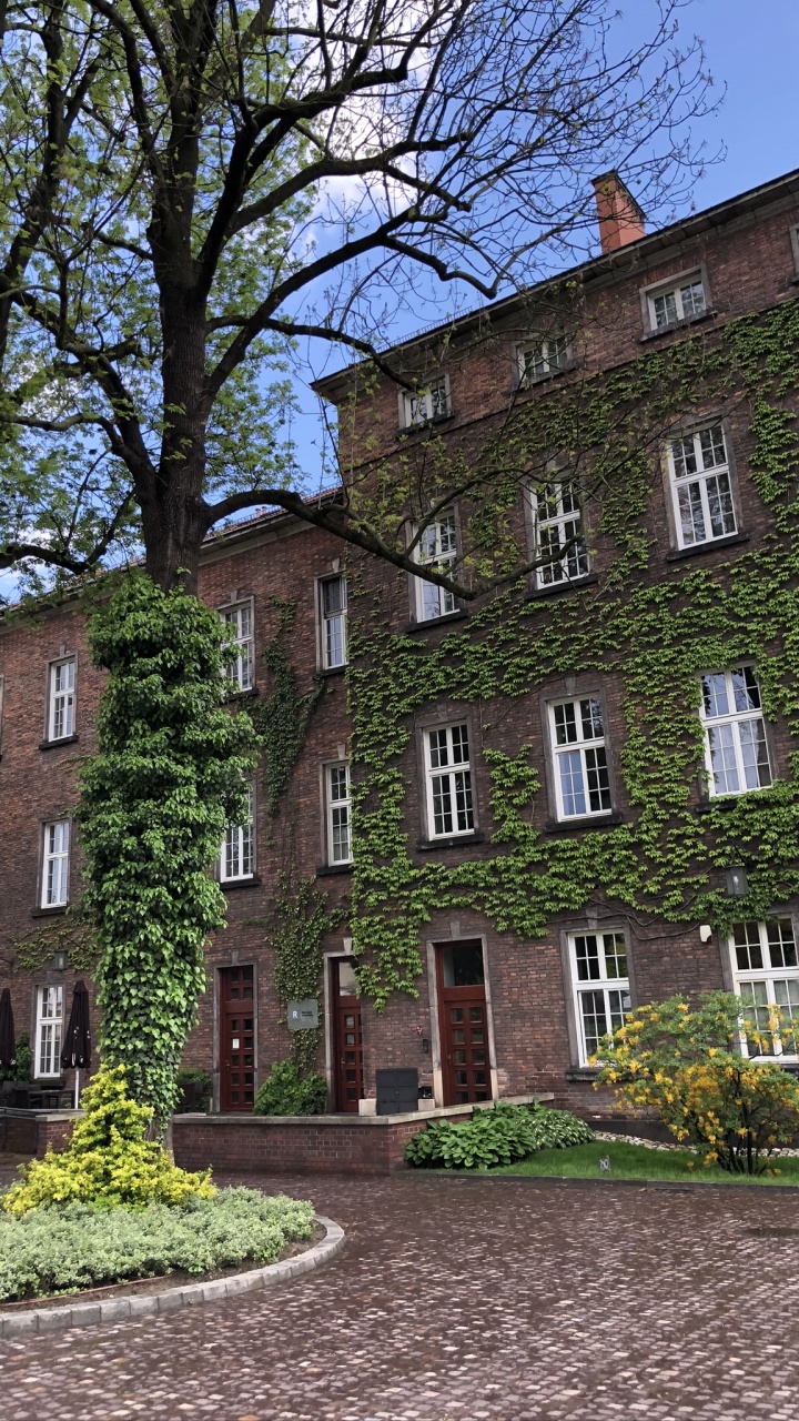 Обои Хаус, окно, свойство, здание, жилой район в разрешении 720x1280