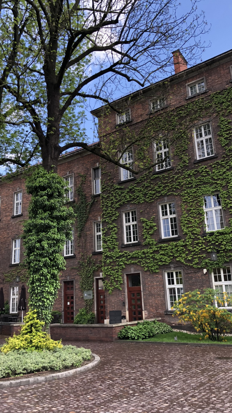 Обои Хаус, окно, свойство, здание, жилой район в разрешении 750x1334