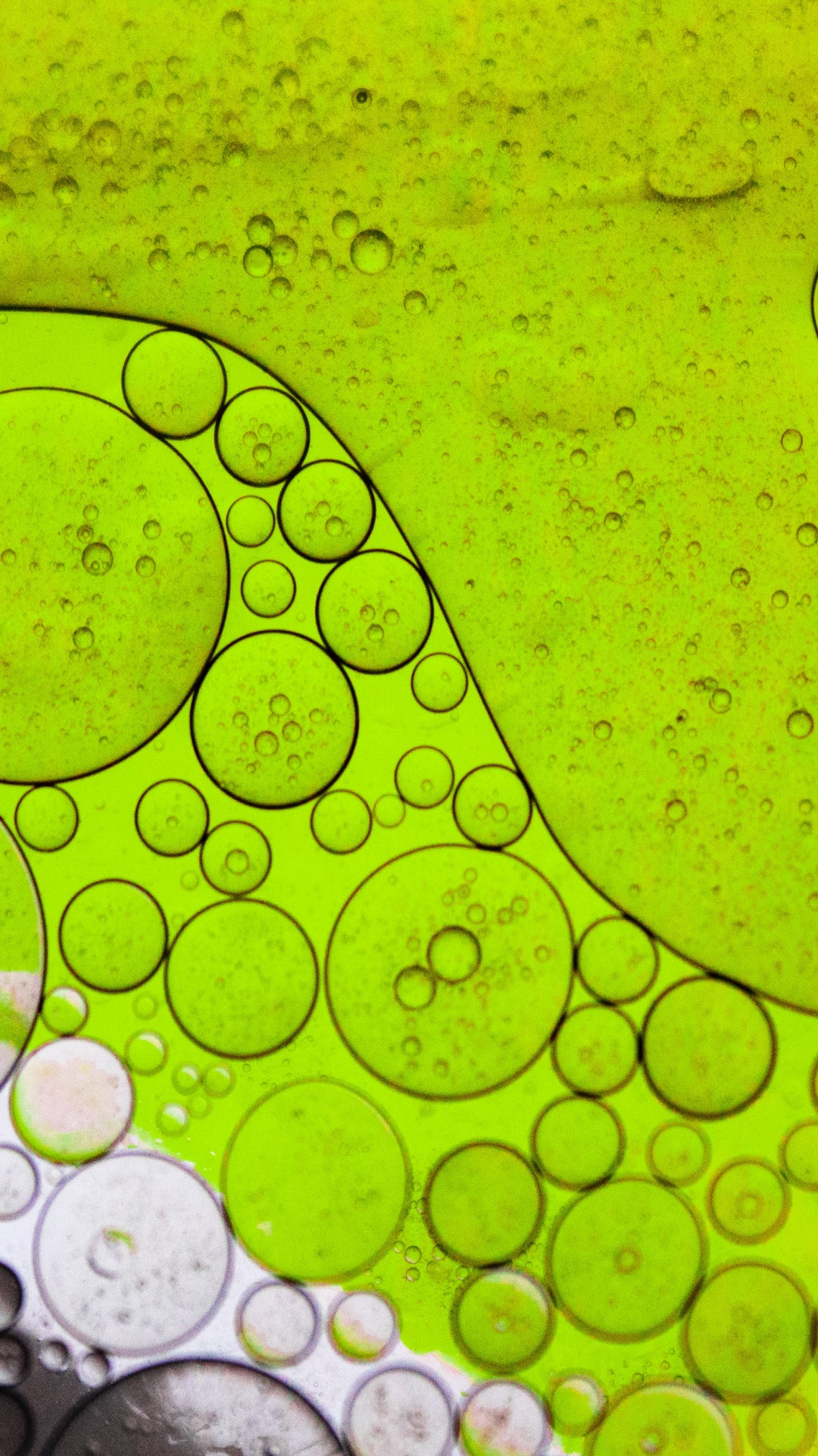 Обои лист, свет, вода, жидкий, зеленый в разрешении 1080x1920