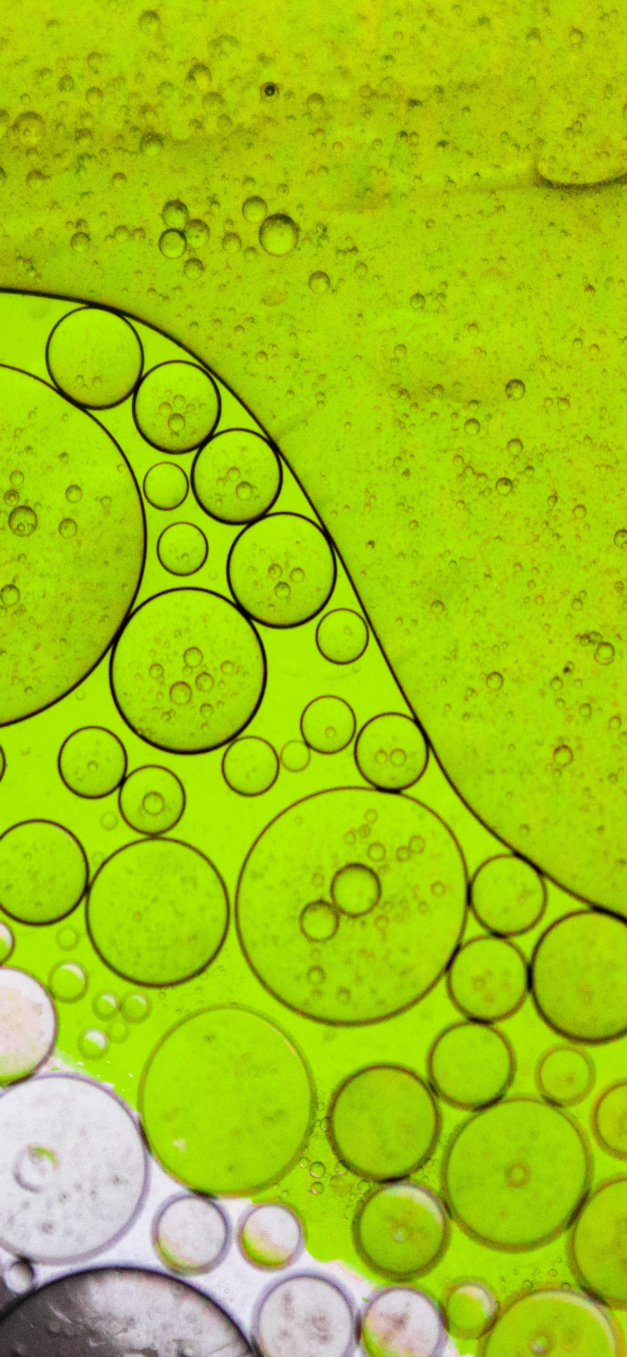 Обои лист, свет, вода, жидкий, зеленый в разрешении 1242x2688