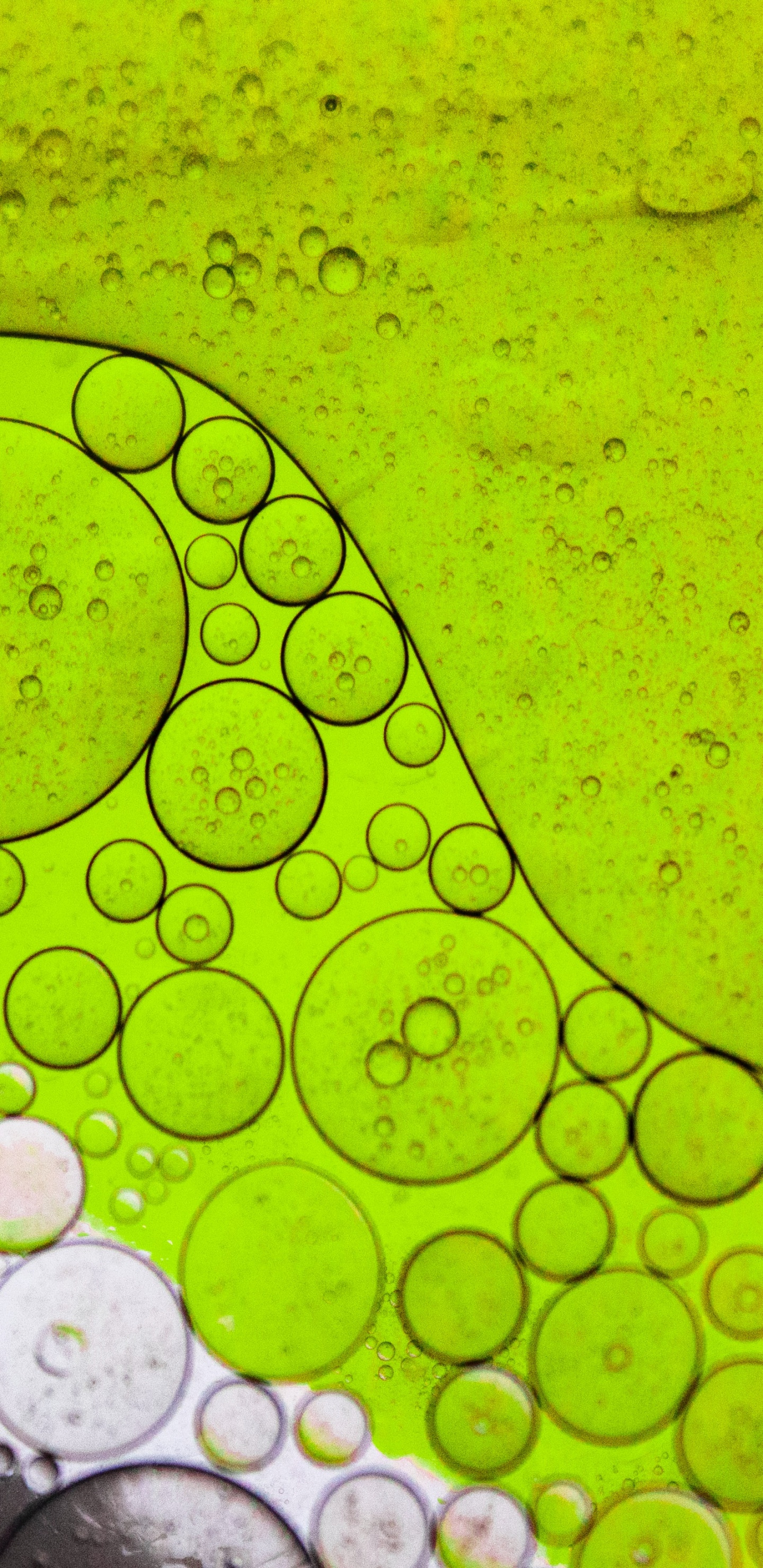 Обои лист, свет, вода, жидкий, зеленый в разрешении 1440x2960