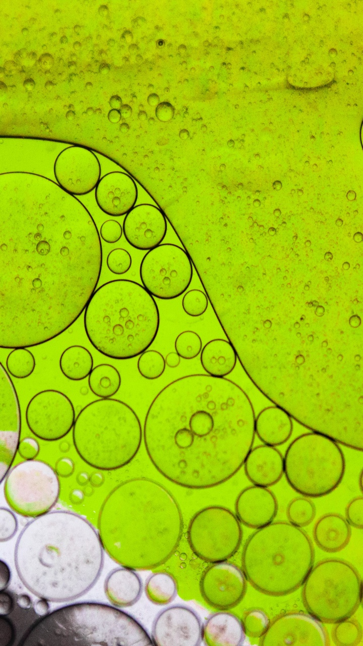 Обои лист, свет, вода, жидкий, зеленый в разрешении 720x1280