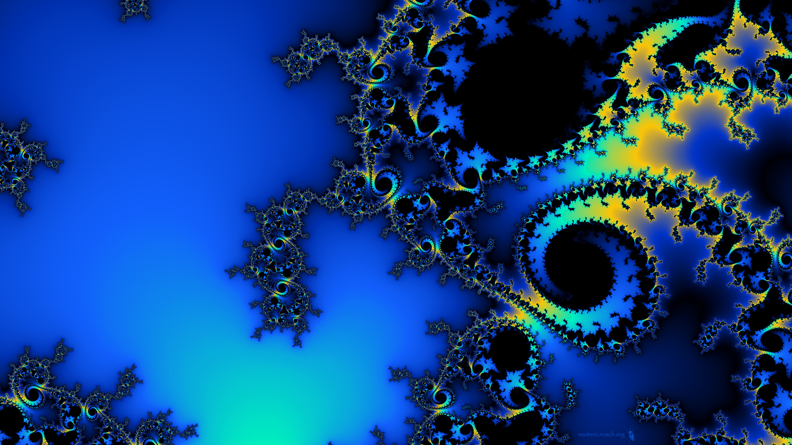 Обои фрактал, фрактальное искусство, синий, электрик, коралловый риф в разрешении 2560x1440