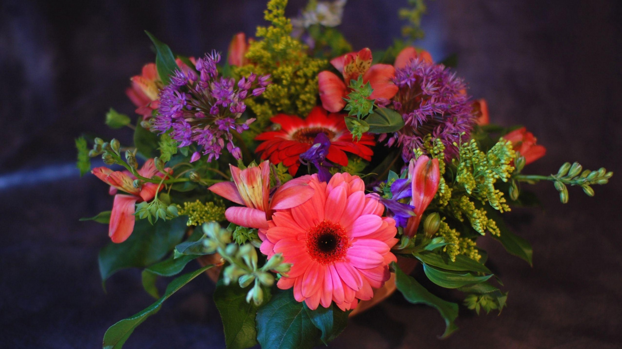 Обои трансвааль Дейзи, цветочный букет, лилии инков, флористики, флористика в разрешении 1280x720