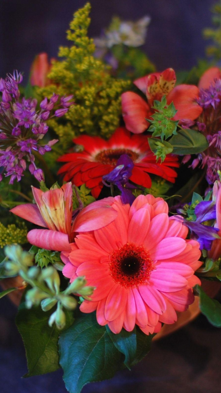 Обои трансвааль Дейзи, цветочный букет, лилии инков, флористики, флористика в разрешении 750x1334