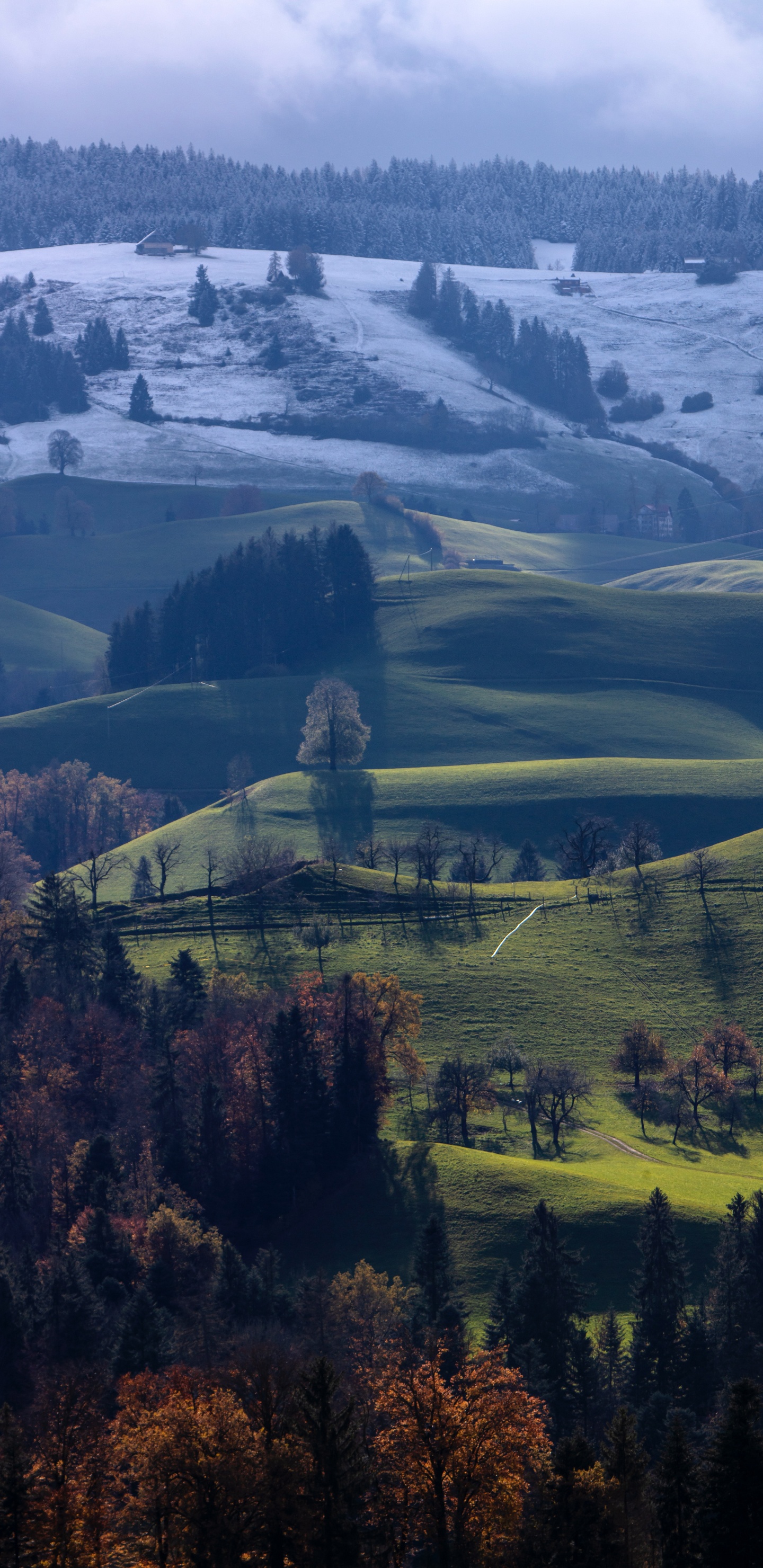 Обои природный ландшафт, нагорье, холм, горный рельеф, облако в разрешении 1440x2960