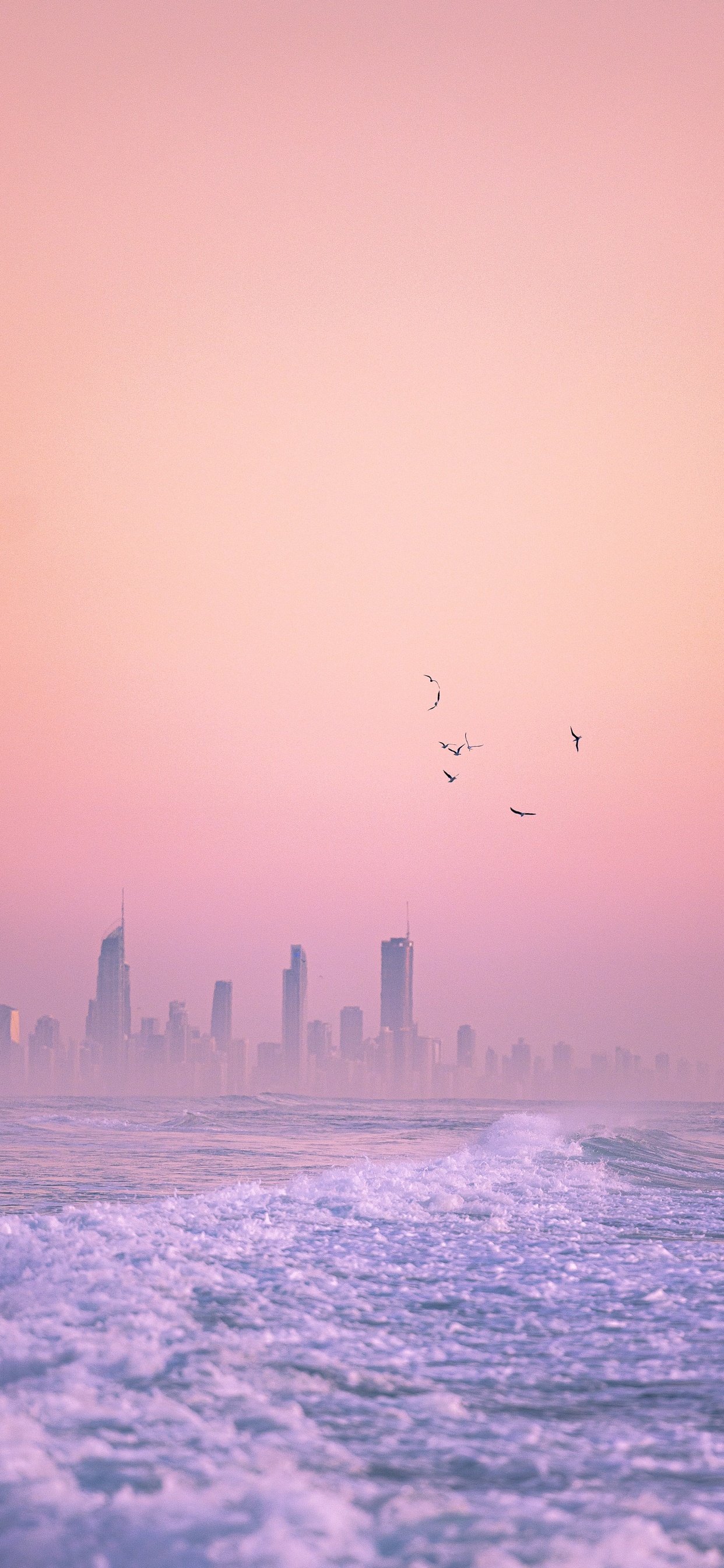 Обои горизонт, твердый переплет 3, вода, атмосфера, птица в разрешении 1242x2688