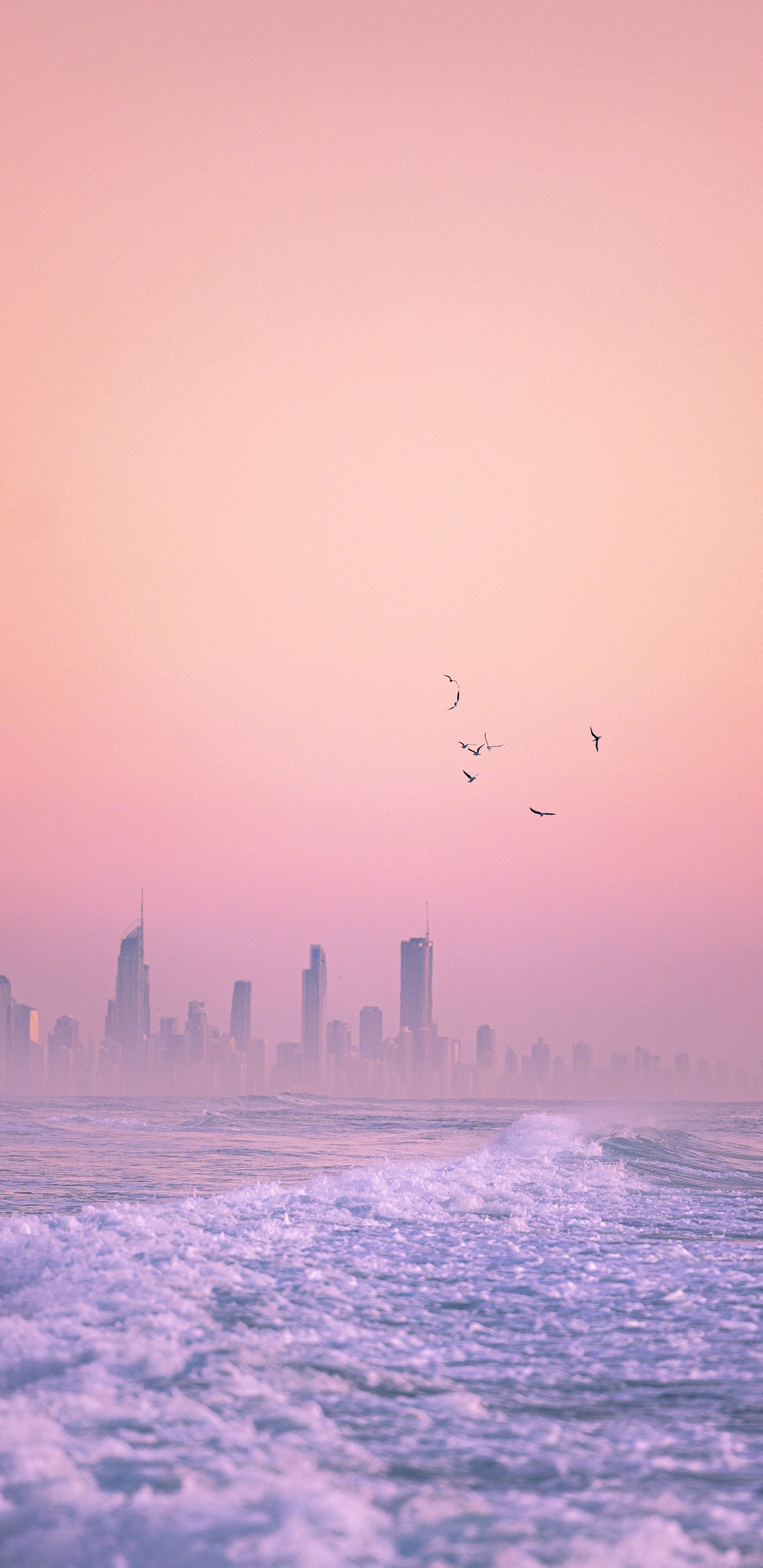 Обои горизонт, твердый переплет 3, вода, атмосфера, птица в разрешении 1440x2960