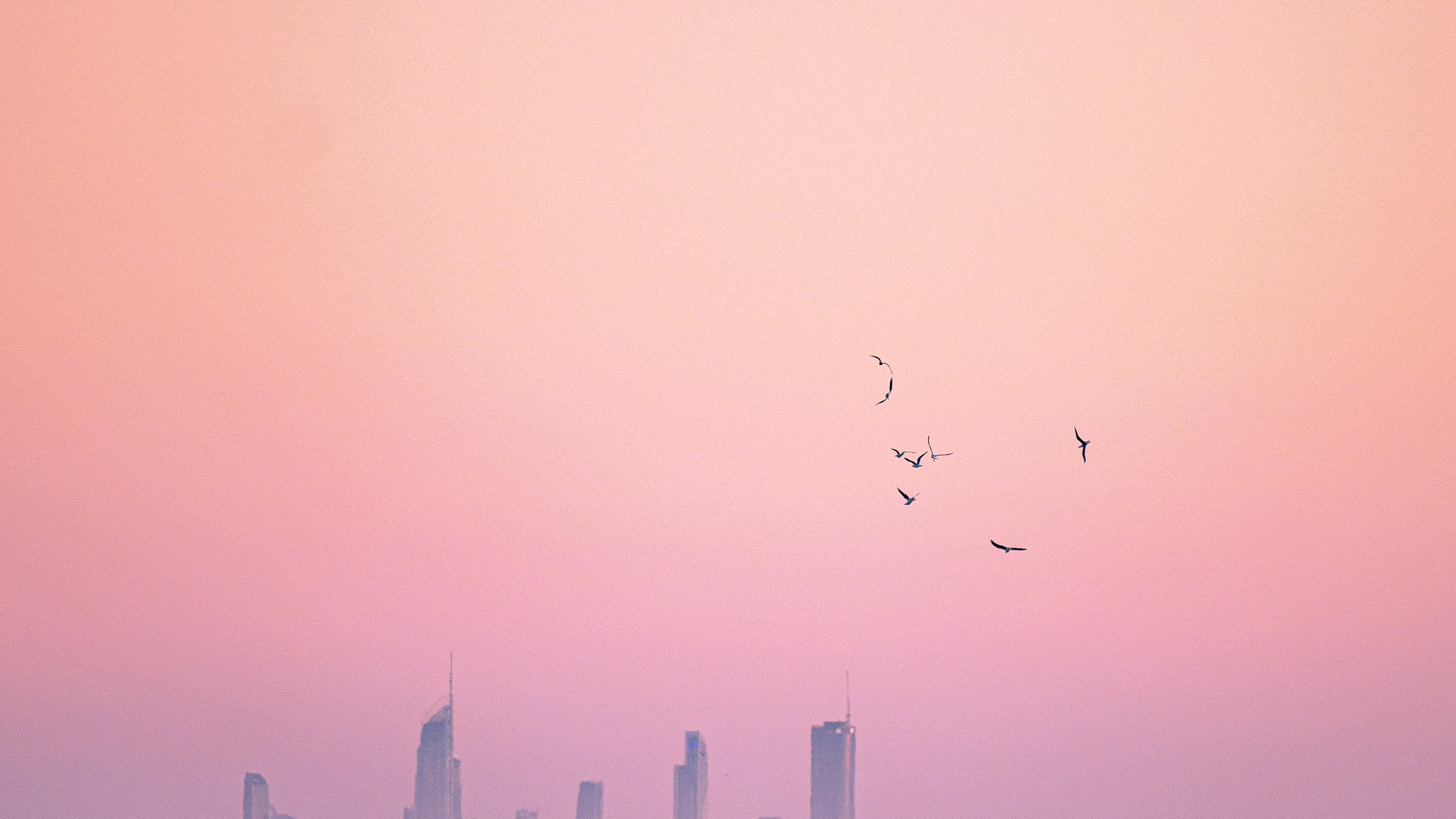 Обои горизонт, твердый переплет 3, вода, атмосфера, птица в разрешении 1920x1080