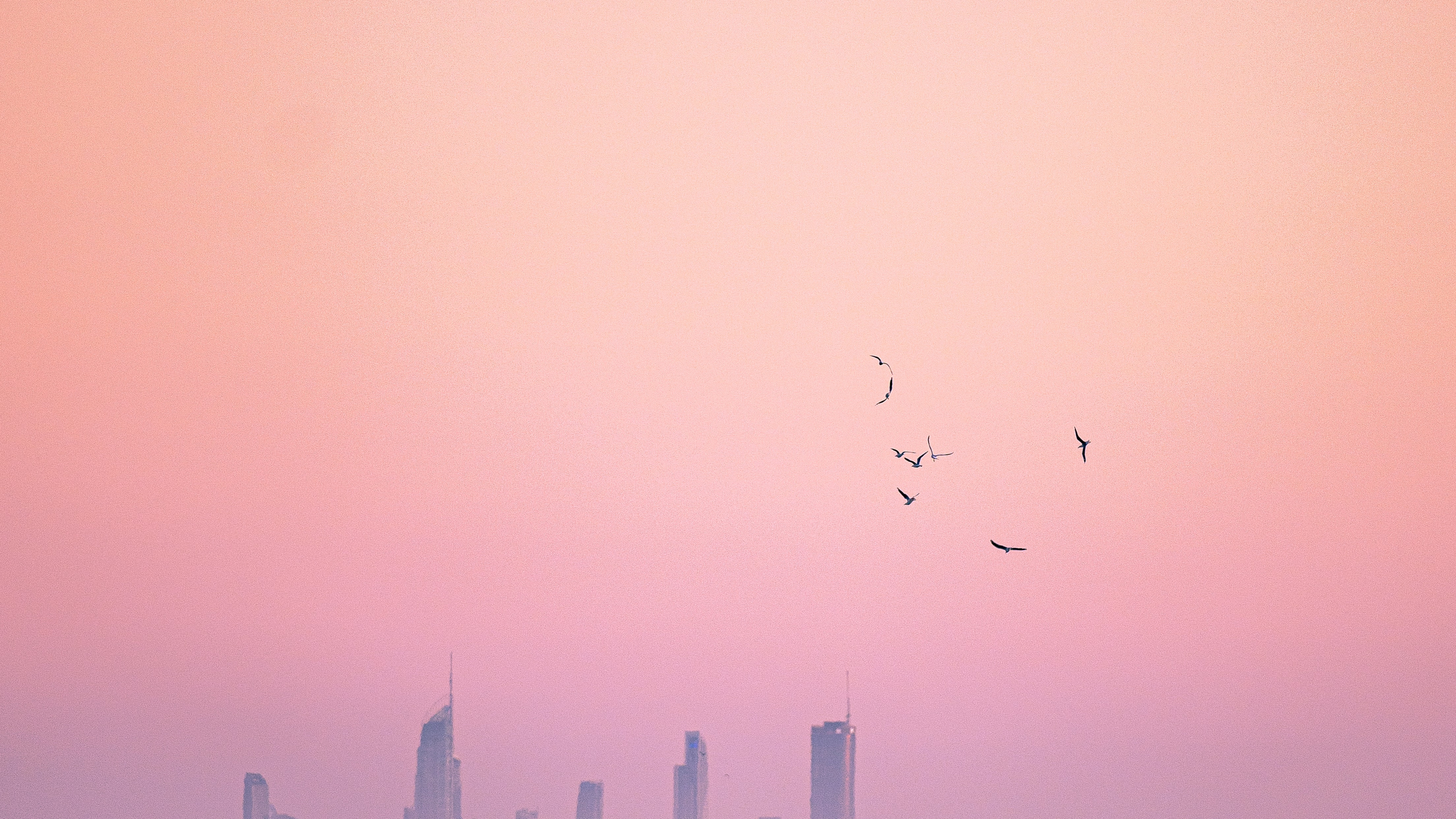 Обои горизонт, твердый переплет 3, вода, атмосфера, птица в разрешении 3840x2160