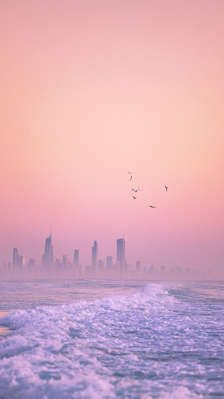 Обои горизонт, твердый переплет 3, вода, атмосфера, птица в разрешении 720x1280