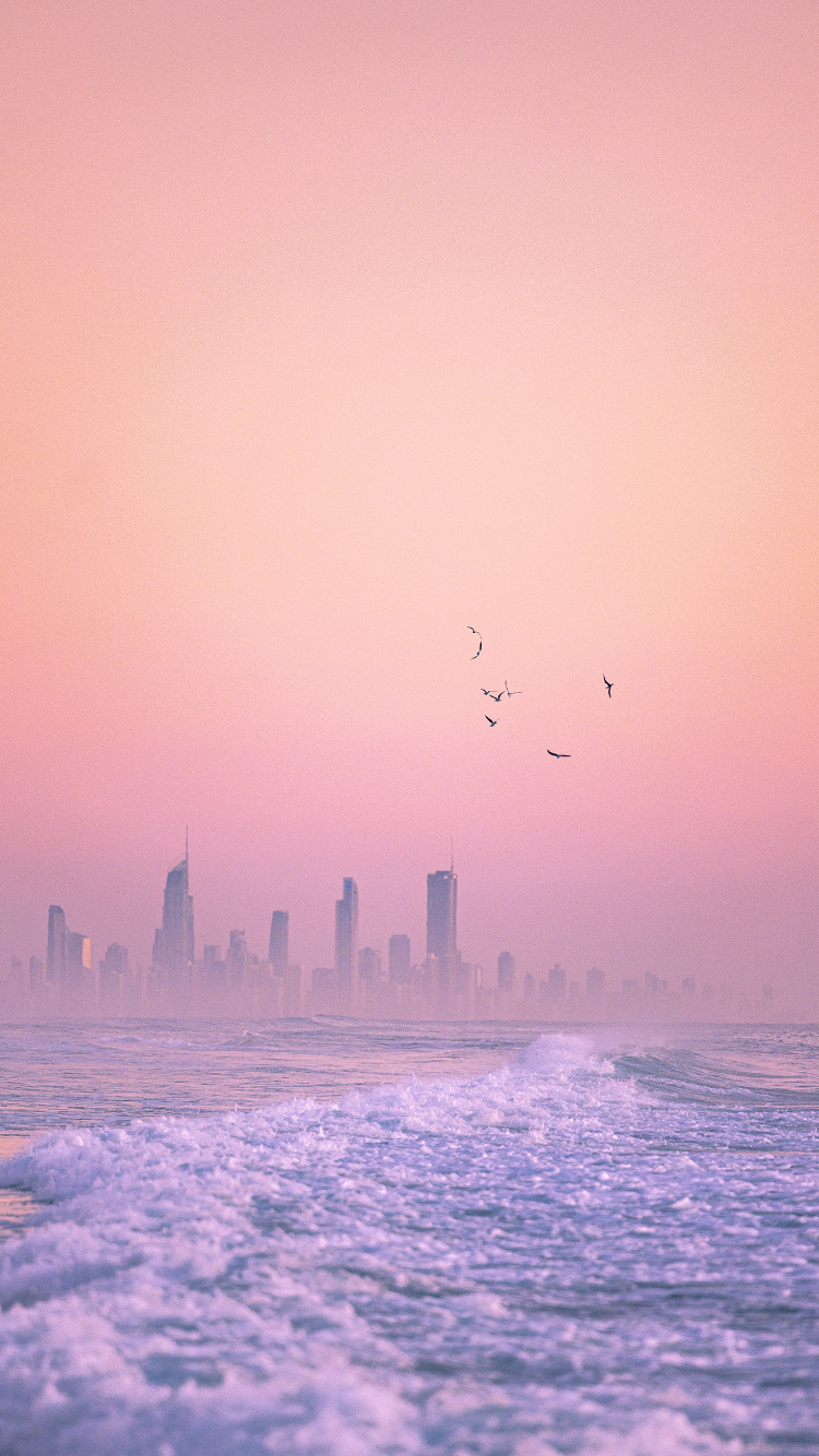 Обои горизонт, твердый переплет 3, вода, атмосфера, птица в разрешении 750x1334