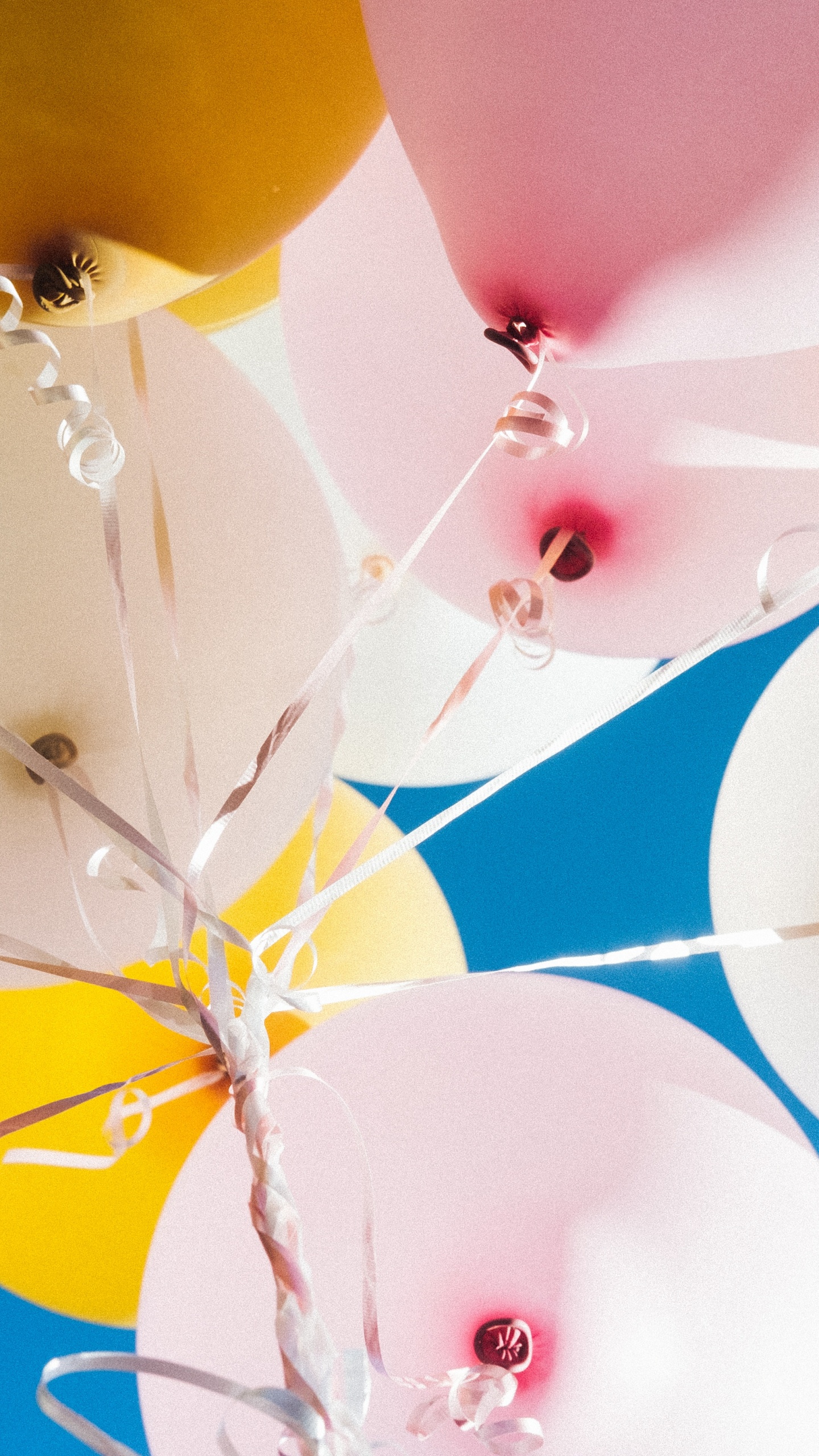 Обои воздушный шарик, поставкы партии, желтый, потолок, игрушка в разрешении 1440x2560