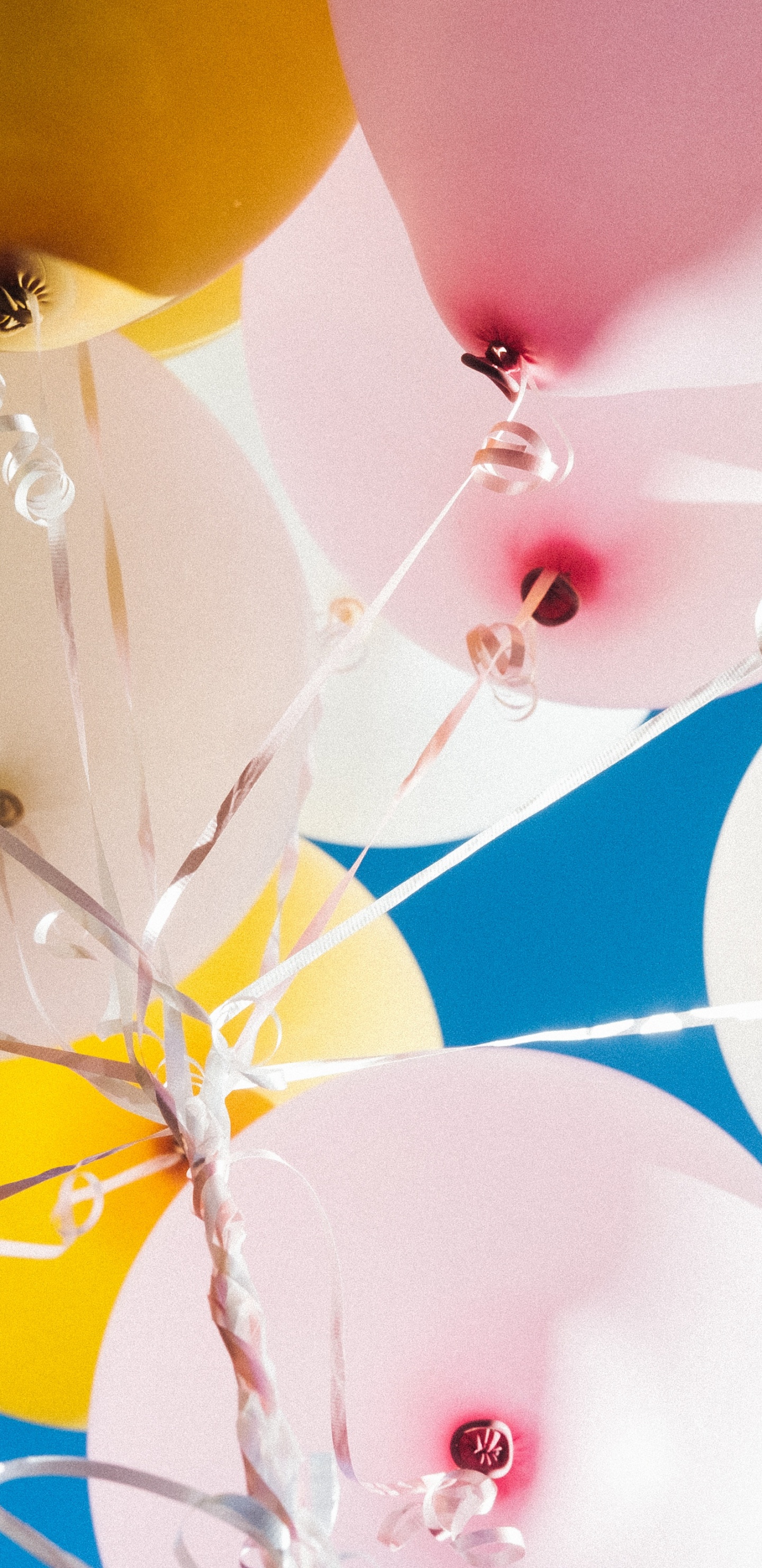 Обои воздушный шарик, поставкы партии, желтый, потолок, игрушка в разрешении 1440x2960