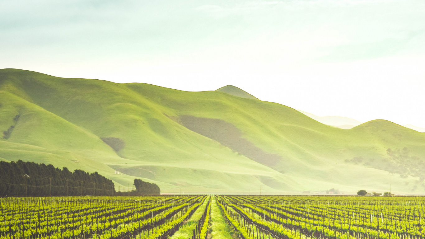 Обои сельское хозяйство, регенеративное сельское хозяйство, сельскохозяйственная земля, органическое земледелие, Ферма в разрешении 1366x768