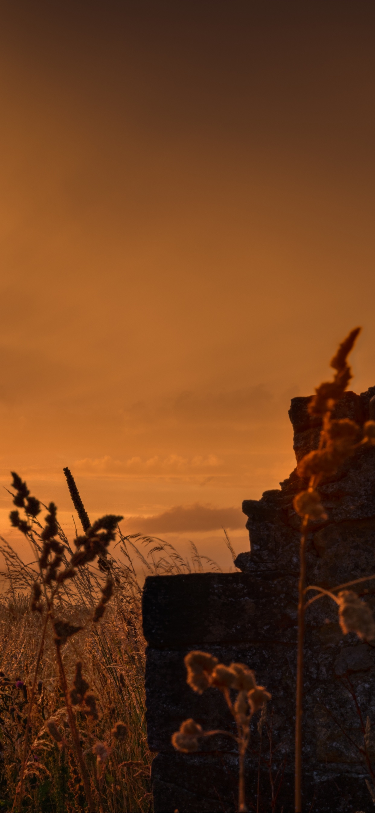 Обои природа, природный ландшафт, закат, восход солнца, облако в разрешении 1242x2688