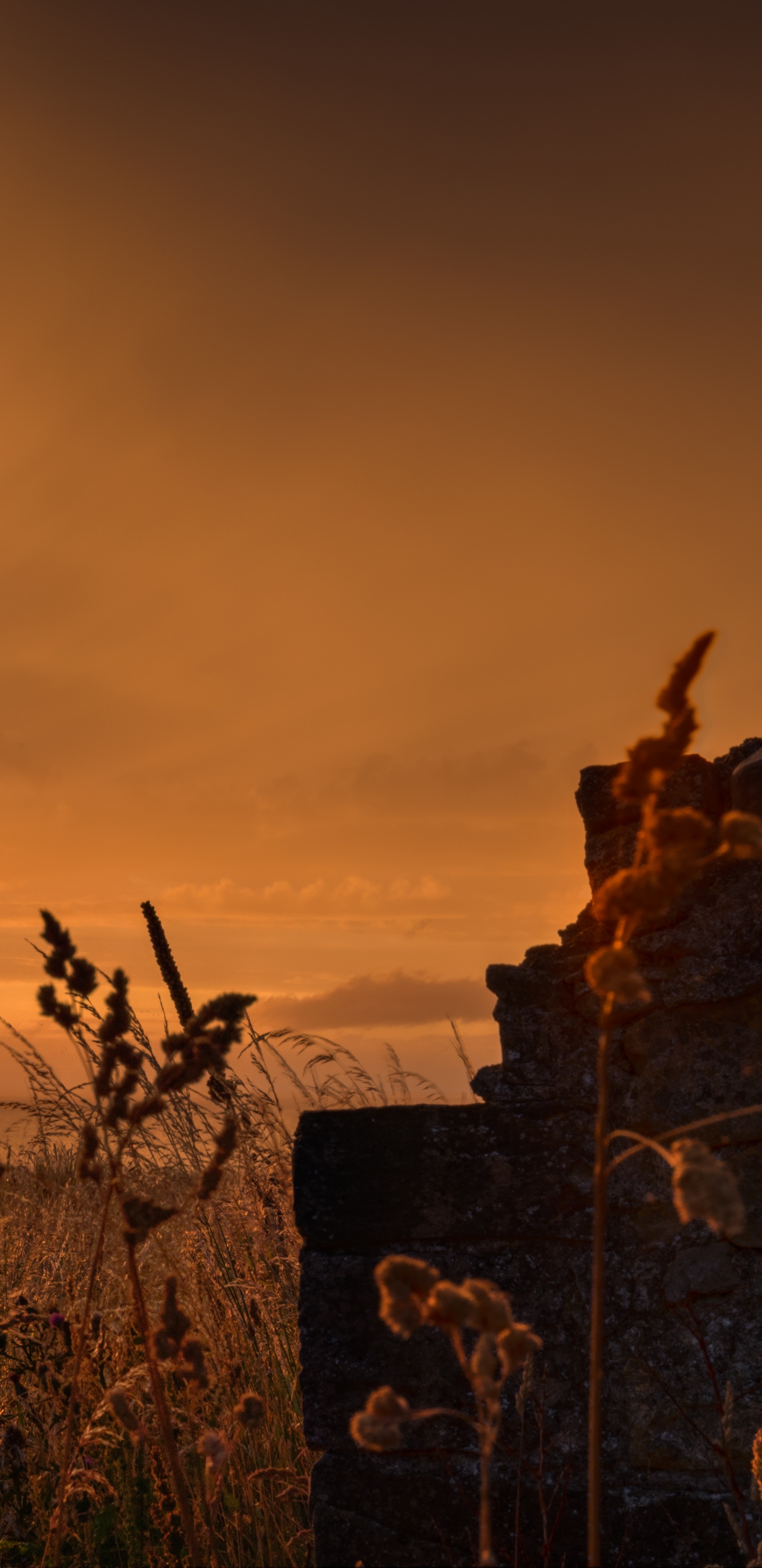 Обои природа, природный ландшафт, закат, восход солнца, облако в разрешении 1440x2960