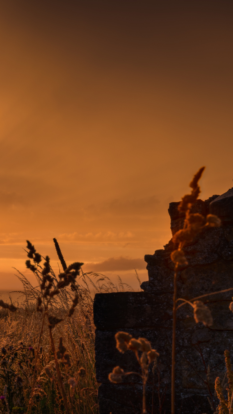 Обои природа, природный ландшафт, закат, восход солнца, облако в разрешении 750x1334