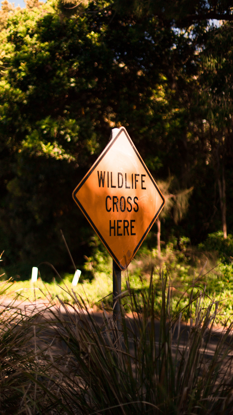 Обои графический дизайн, коммуникация, знак, Identidade визуальный, дерево в разрешении 750x1334