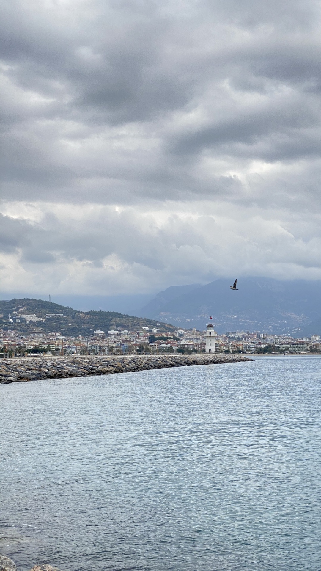 Обои Plover Cove Country Park, гидроресурсы, вода, облако, гора в разрешении 1080x1920