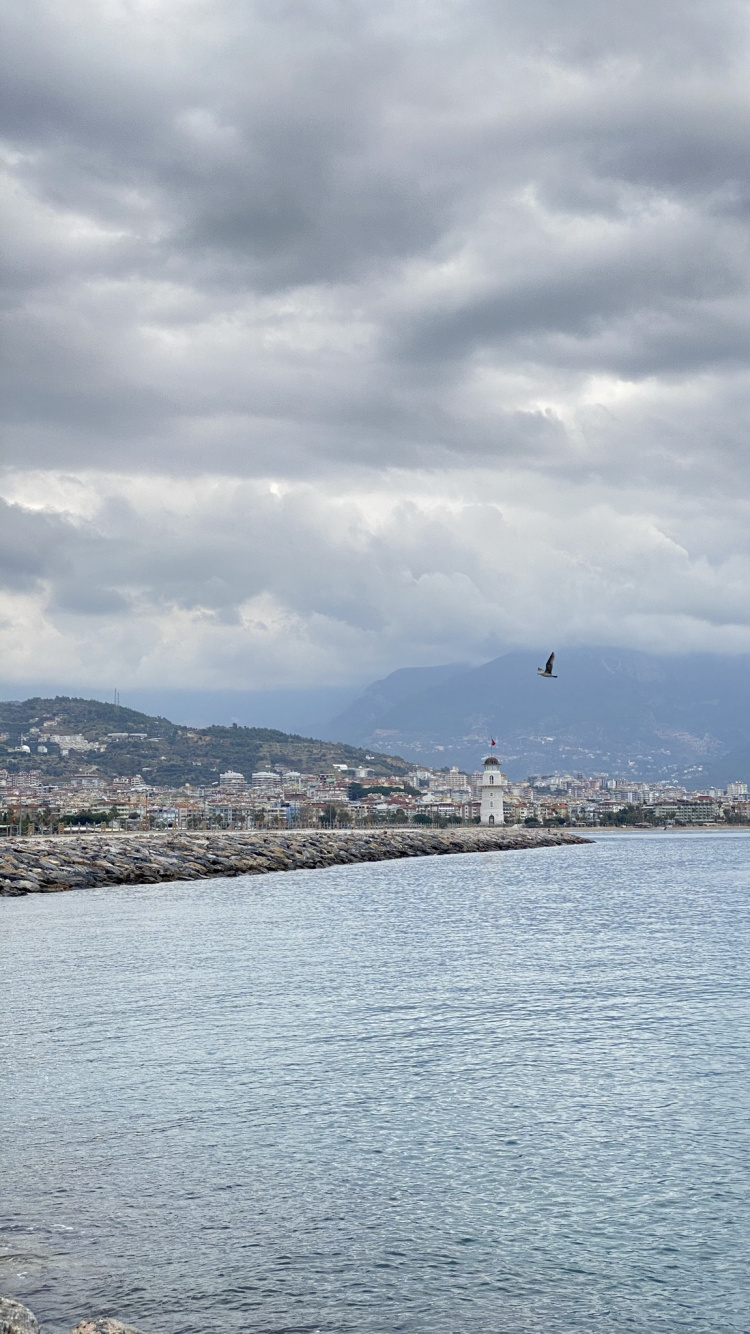 Обои Plover Cove Country Park, гидроресурсы, вода, облако, гора в разрешении 750x1334