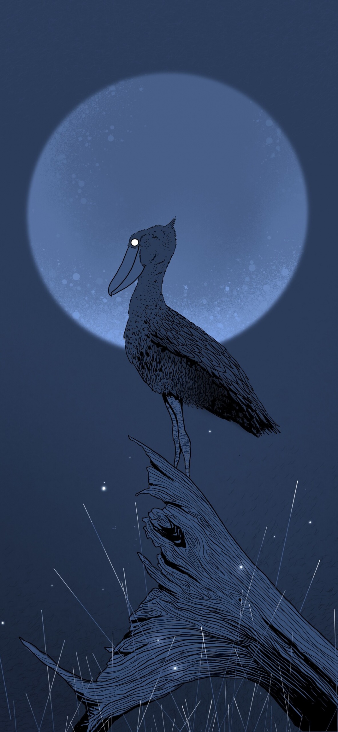 Обои птица, клюв, ночь, иллюстрация, большой баклан в разрешении 1125x2436