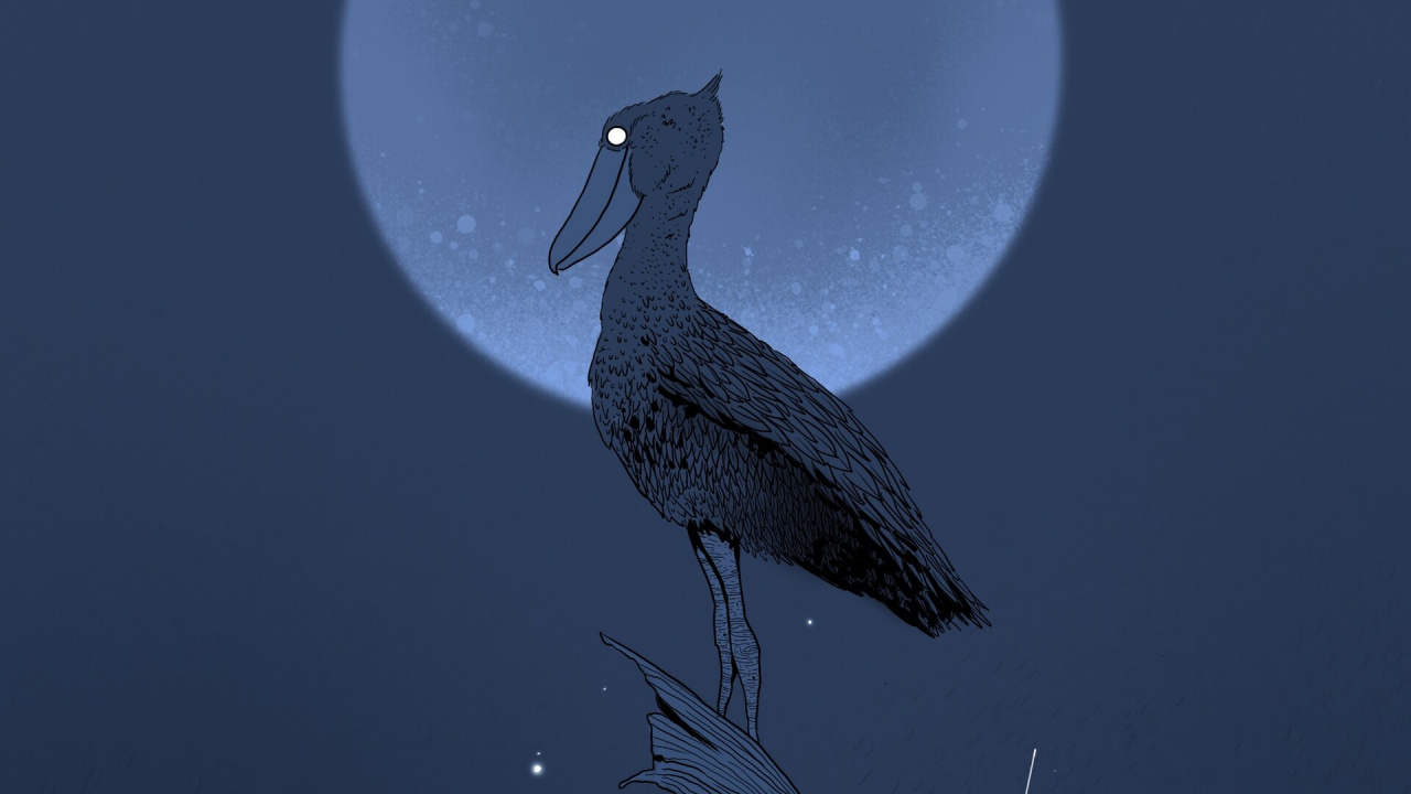 Обои птица, клюв, ночь, иллюстрация, большой баклан в разрешении 1280x720
