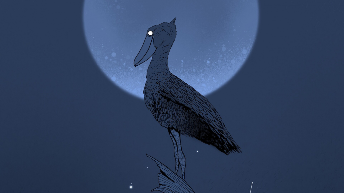 Обои птица, клюв, ночь, иллюстрация, большой баклан в разрешении 1366x768