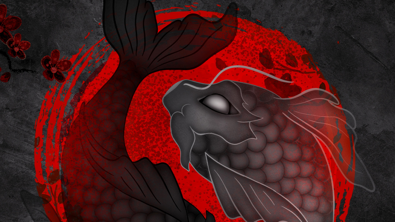 Обои кои инь янь, кои, рыба, инь и Ян, рыба инь янь в разрешении 1280x720