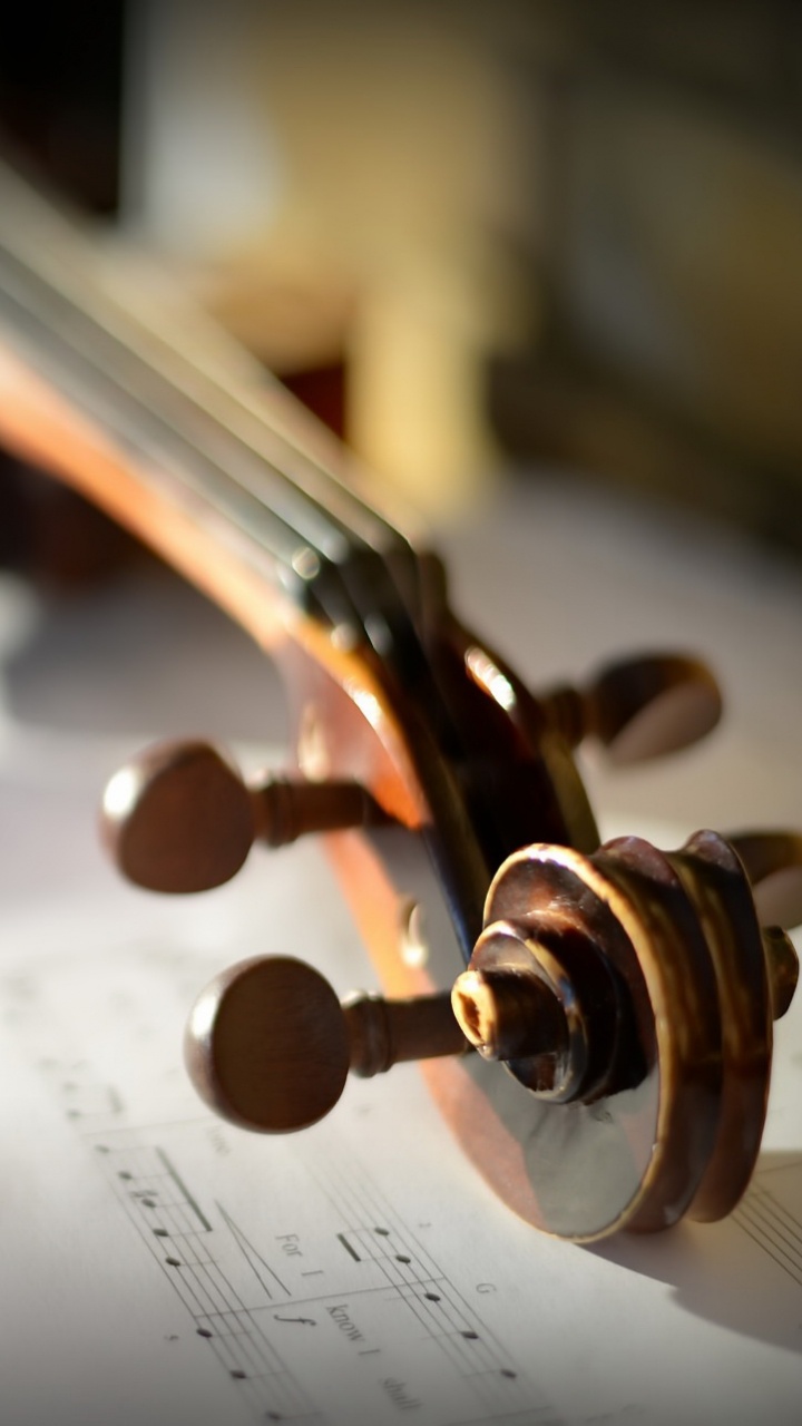 Обои скрипка, виолончель, классическая музыка, музыкальная нота, скрипка семья в разрешении 720x1280