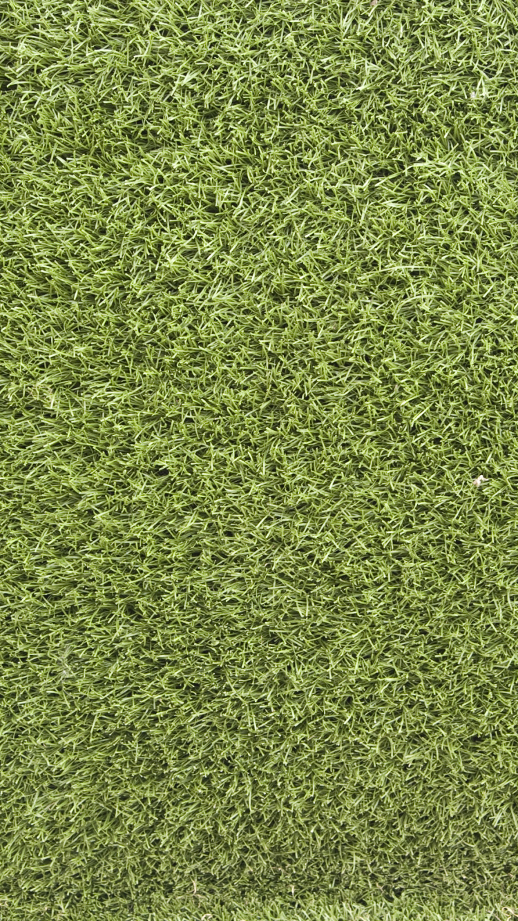 Обои Альфа-композитинг, зеленый, узор, дизайн, трава в разрешении 750x1334