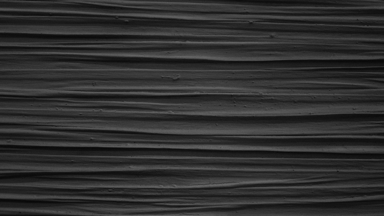 Обои черный и белый, черный, древесина, небо, монохромный режим в разрешении 1280x720