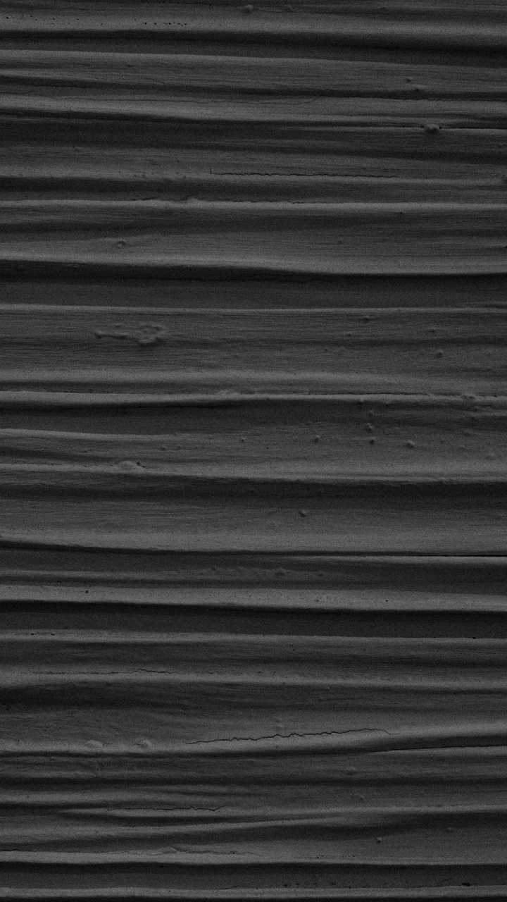 Обои черный и белый, черный, древесина, небо, монохромный режим в разрешении 720x1280