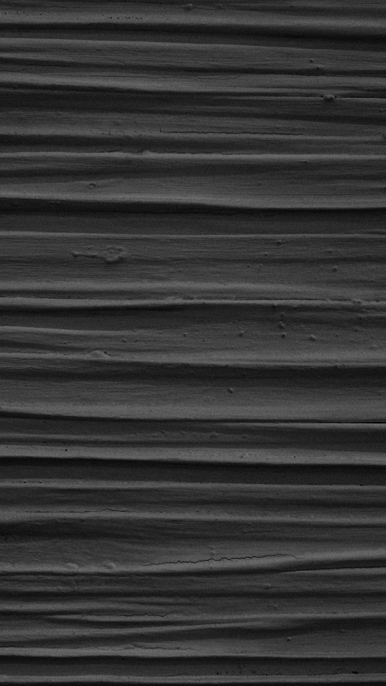 Обои черный и белый, черный, древесина, небо, монохромный режим в разрешении 750x1334
