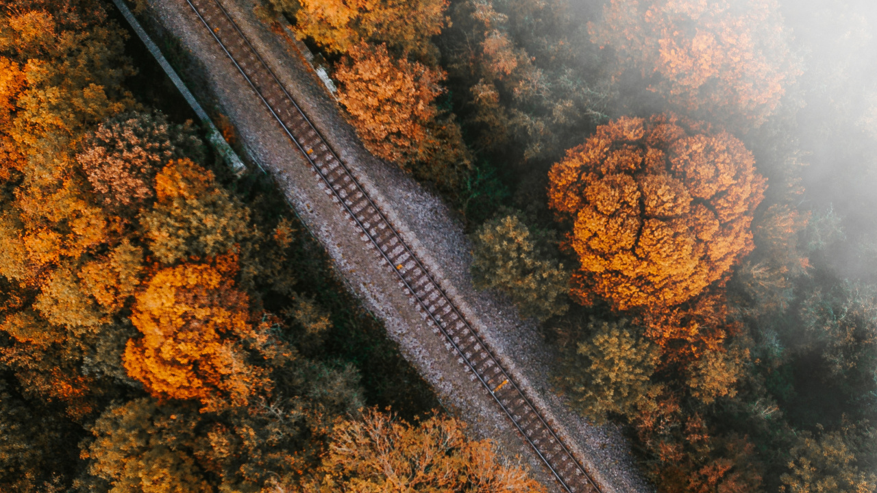 Обои дерево, лист, природа, ржавчина, железнодорожный транспорт в разрешении 1280x720