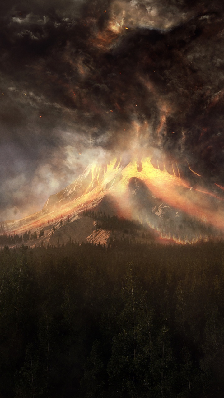 Обои атмосфера, солнечный свет, дерево, облако, лес в разрешении 720x1280