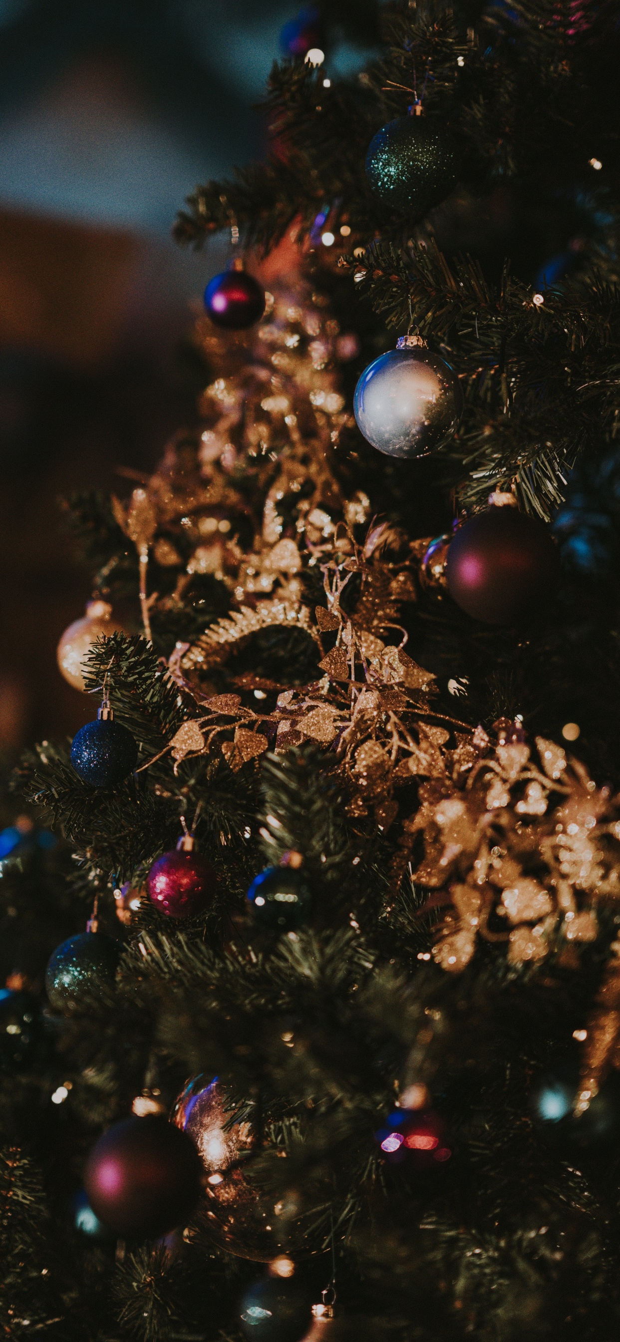 Обои Рождественский день, Рождественские огни, елка, рождественский орнамент, дерево в разрешении 1242x2688