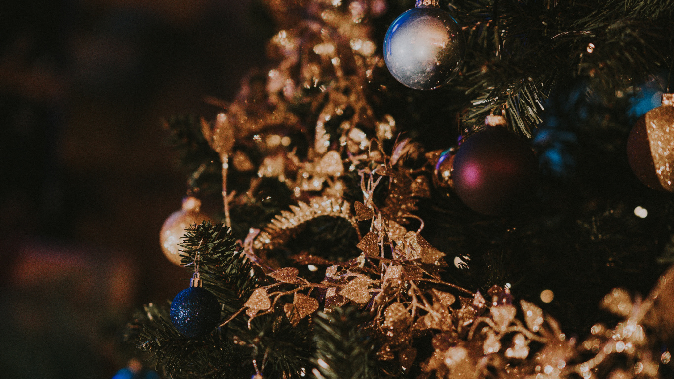 Обои Рождественский день, Рождественские огни, елка, рождественский орнамент, дерево в разрешении 1366x768